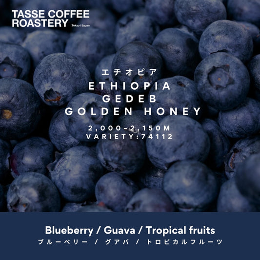 Ethiopia Gedeb Halo Shashamane Golden Honey