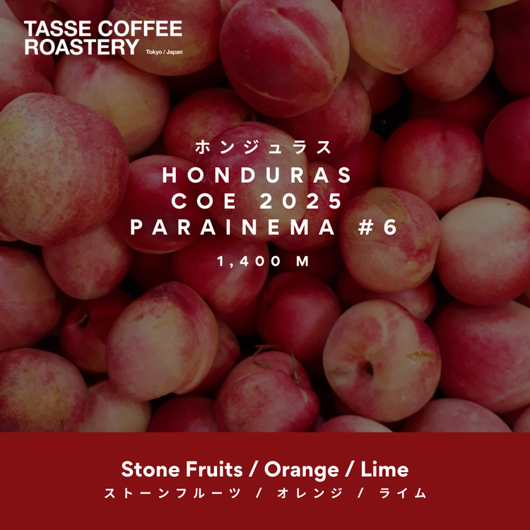 Honduras COE 2025 Parainema #6 — El Laurel (Washed)