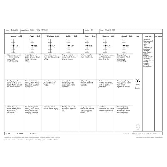 Honduras COE 2025 Parainema #6 — El Laurel (Washed)