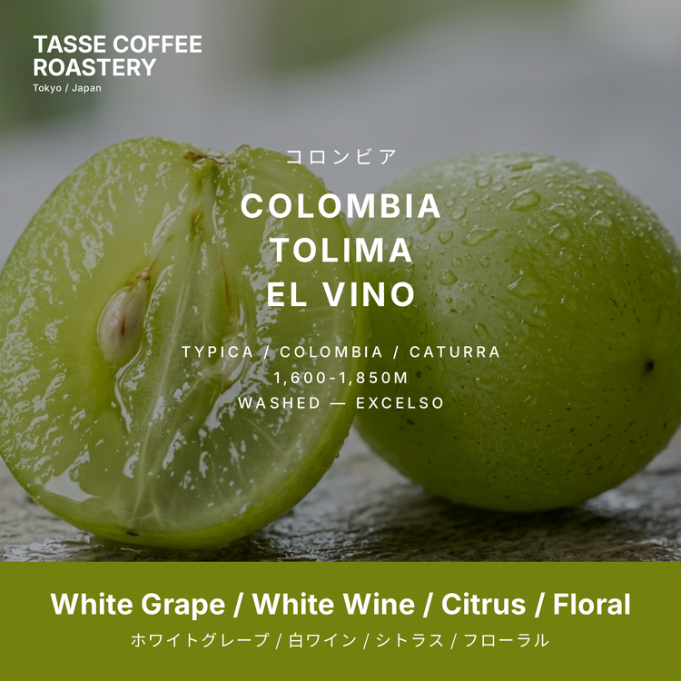 Colombia CGLE Tolima Rio Blanco El Vino Washed Excelso — square